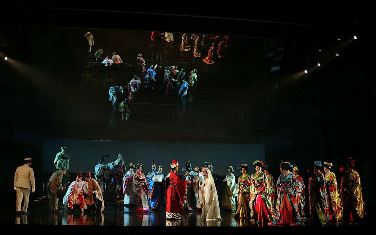 MADAM BUTTERFLY