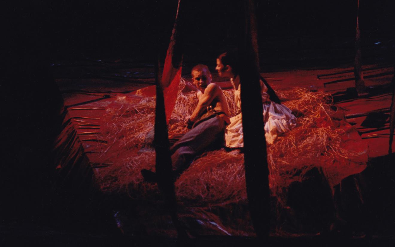 Spring Awakening